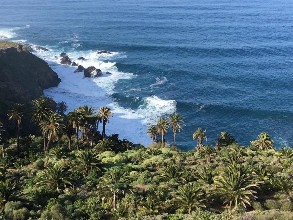 Home2Book El Encanto De La Torre I Santa Cruz de Tenerife Dış mekan fotoğraf