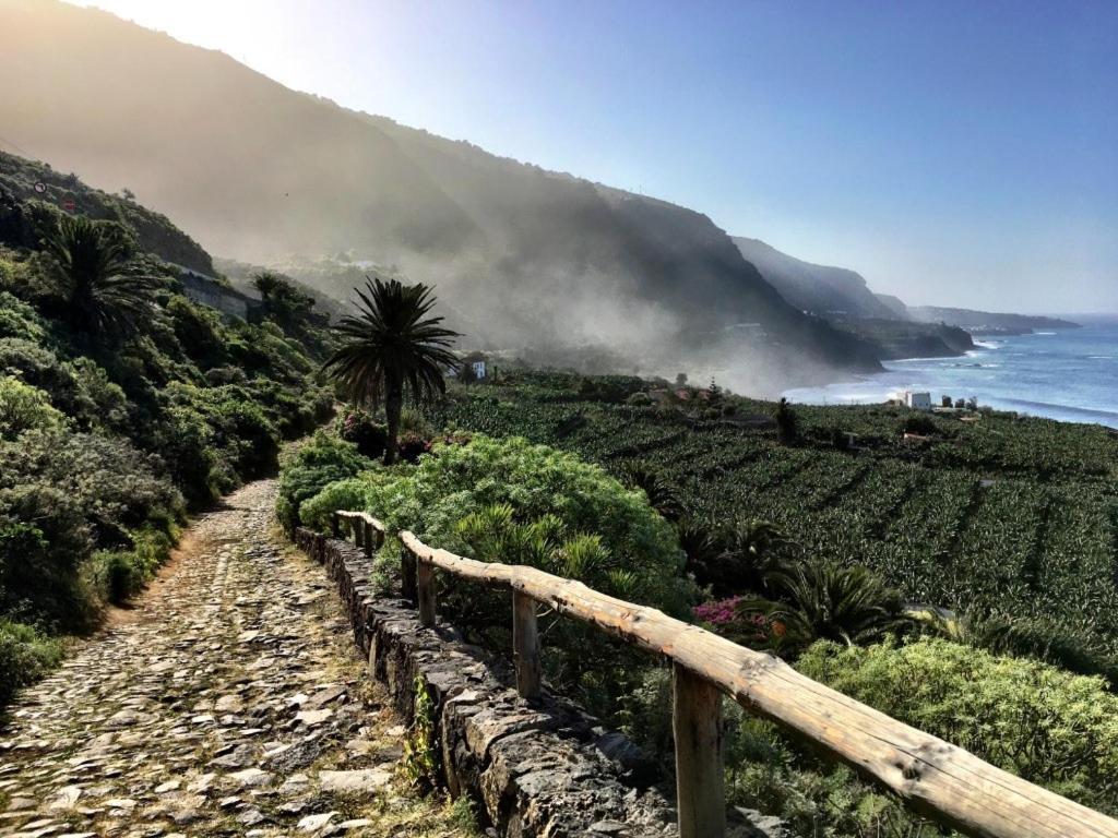 Home2Book El Encanto De La Torre I Santa Cruz de Tenerife Dış mekan fotoğraf