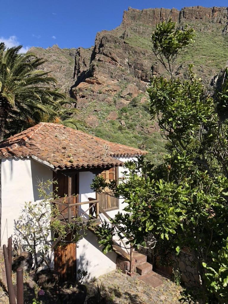 Home2Book El Encanto De La Torre I Santa Cruz de Tenerife Dış mekan fotoğraf
